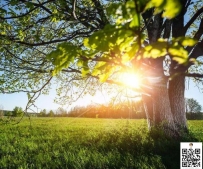 三月你好 春天  是新開始 是希望